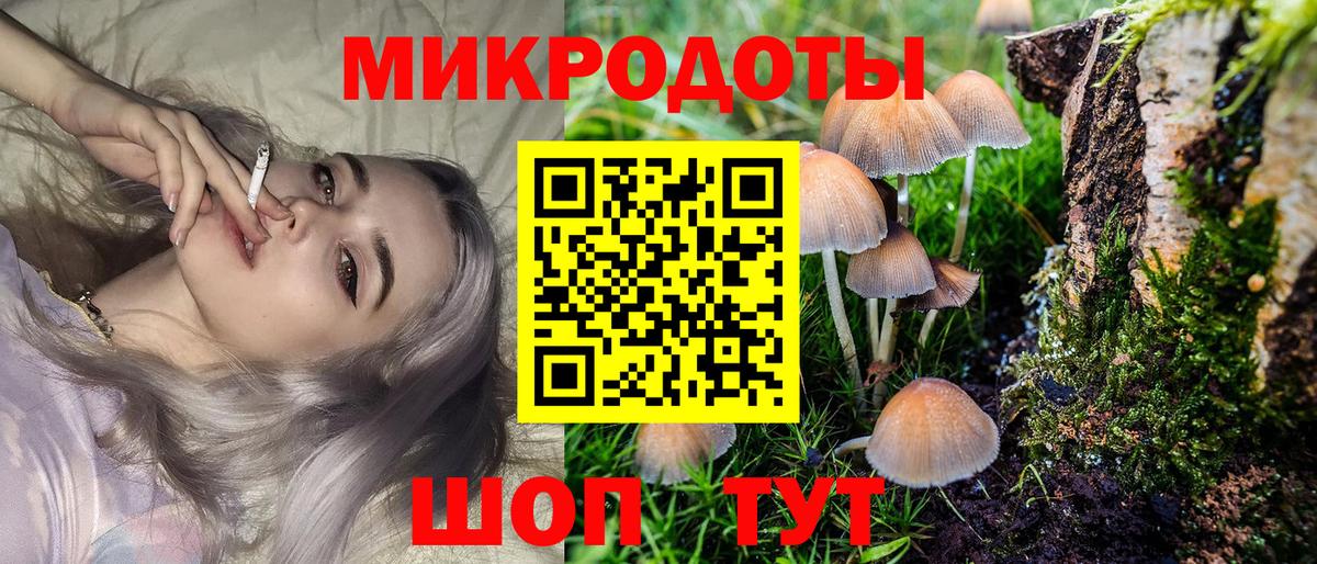 Острогожск  Псилоцибиновые грибы Psilocybine cubensis  Вход с VPN  Псилоцибиновые грибы прущие грибы 